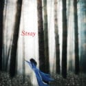 Stray Cover scaled
