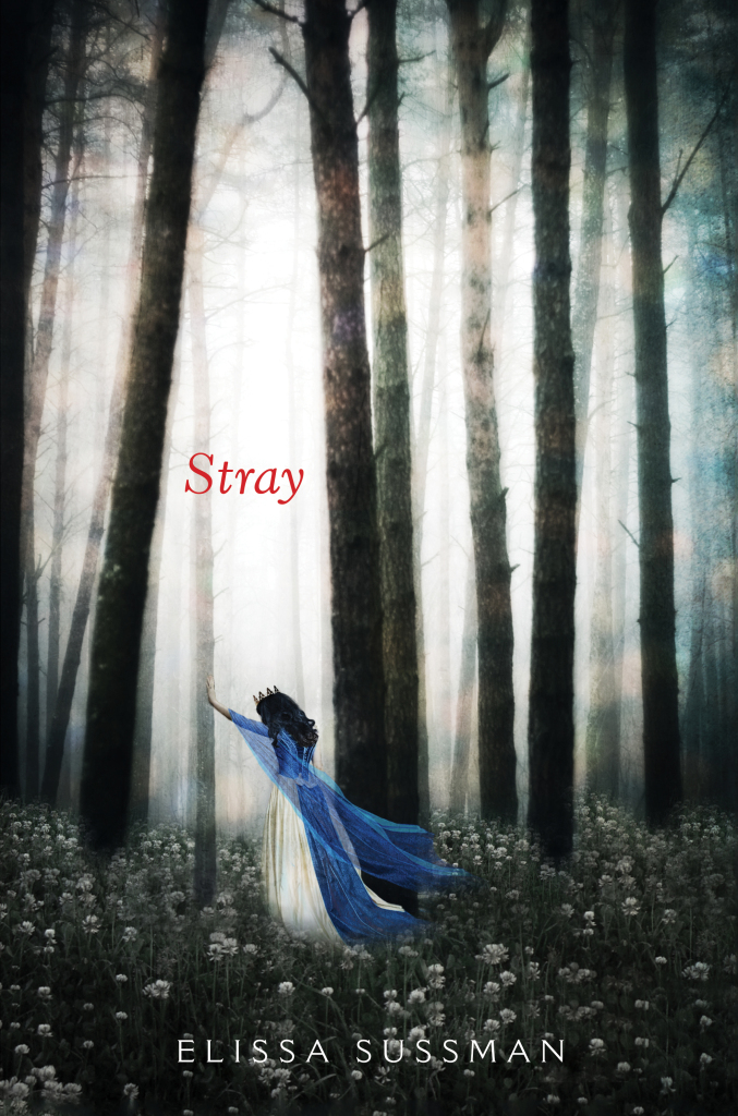 Stray Cover